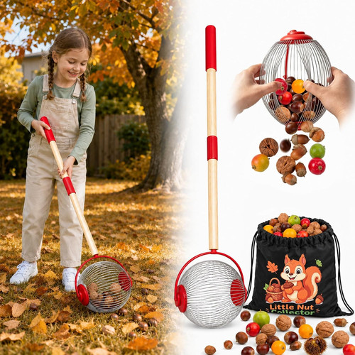 Raccogli dadi per bambini