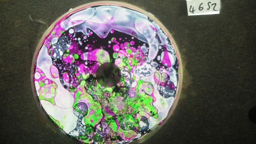 Ruota olio bubble - olio, vision