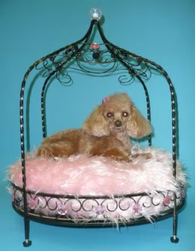 Letto per animali - , domestici