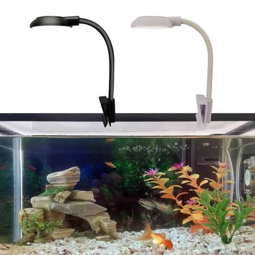 Lampada acquario led - lampada, luce