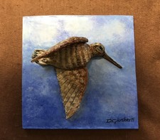 Beccaccia Bassorilievo