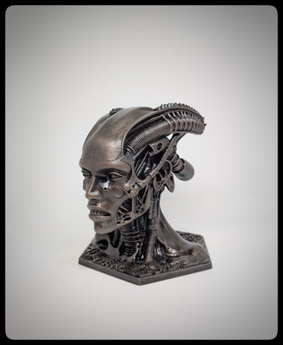 Cyber head scultura - cyber, in