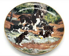 SPRINGER SPANIELS Classic
