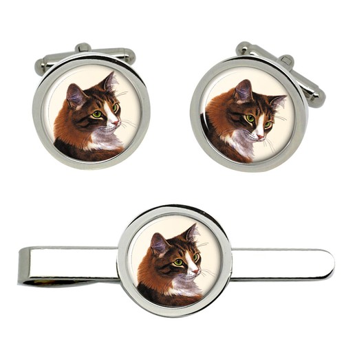 Siberiano gatto gemelli - siberiano, e