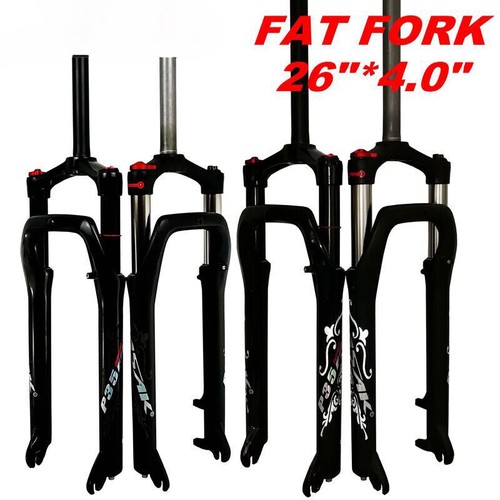 Forcella grassa bici