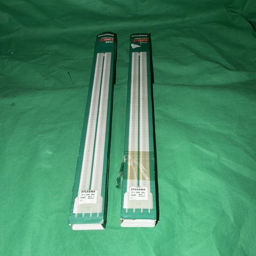 Lampadina fluorescente