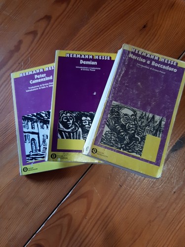 Hermann hesse lotto libri - hermann,