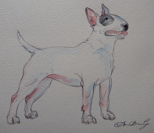 Quadro acquerello bull terrier - acquerello,