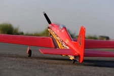 Dago Red Mustang 1,46 m EP-GP