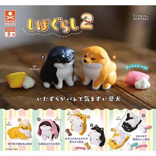 Animal attraction shiba - animal,
