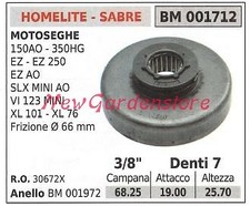 Pignone HOMELITE motore