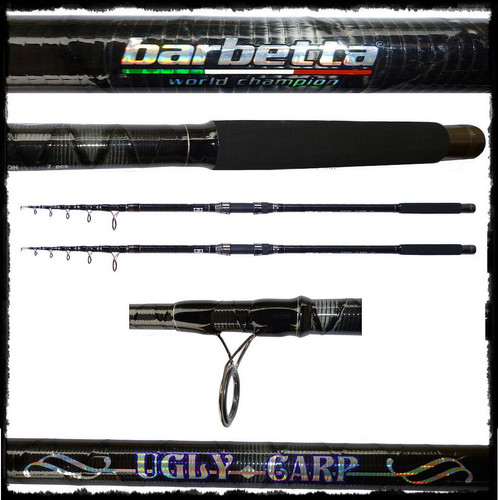 Canne carpa storione - 2,
