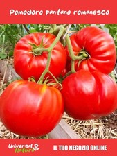 100 Semi di 🍅 Pomodoro