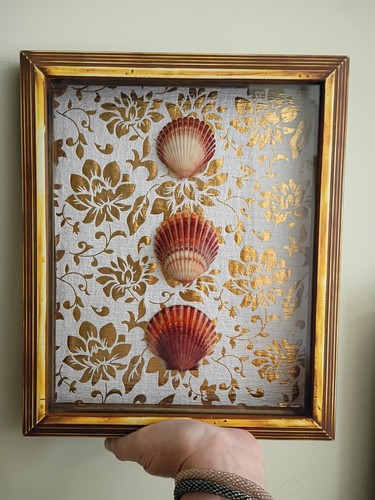 Scatola ombra conchiglia - , di