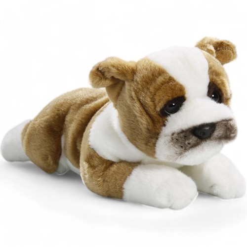 Carl dick bulldog - bulldog, francese