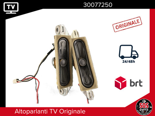Coppia altoparlanti casse