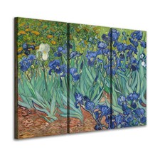 Set 3 Quadri su tela "Iris" di