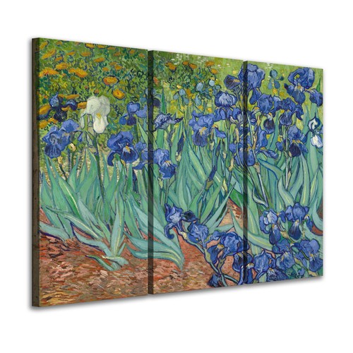 Set quadri tela - su, "iris"