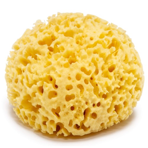 Spugna mare 100 naturale - spugna, 100%