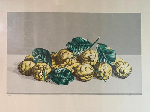 Ugo pasini limoni litografia - pasini,, limoni,