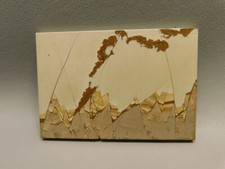 Pietra Paesina Roccia Lucida