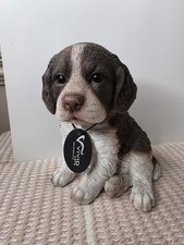 Springer spaniel cucciolo - springer,