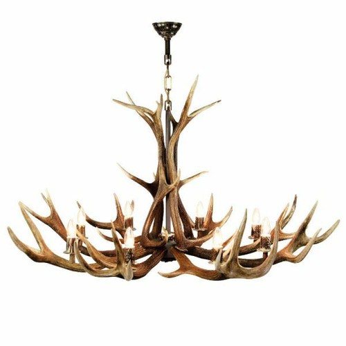 Lampadario con vere corna - , di