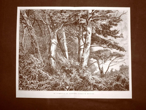 Tenuta tombolo 1875 parco - 1875,