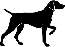 Adesivo WEIMARANER adesivo
