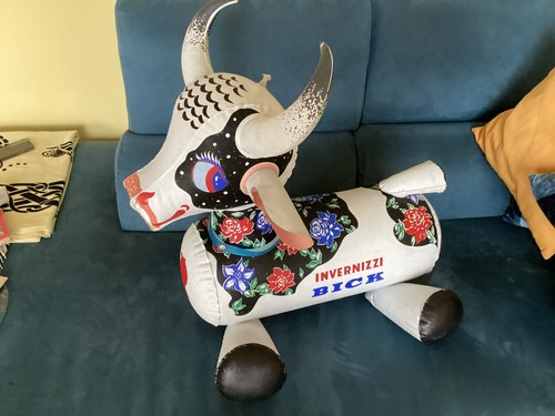 Rarissima mucca carolina - mucca,