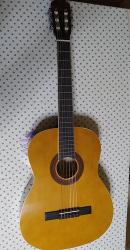 Chitarra classica - ,