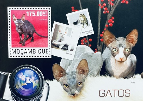 Foglio francobolli gatti - francobolli,
