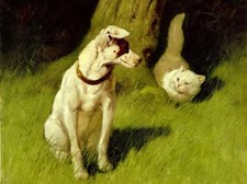 Classical oil painting lovely