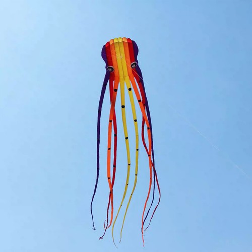 Aquilone polpo grande 15m - grande,