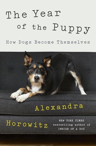 The year puppy - of,