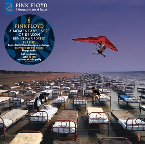 Pink floyd momentary lapse - floyd,