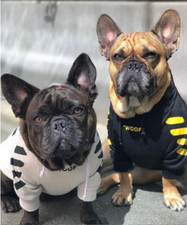 Bulldog vestiti cane felpa con