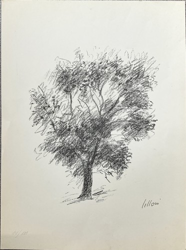 Litografia umberto lilloni - umberto,
