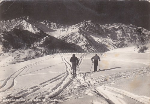 Bardonecchia palestra - -,