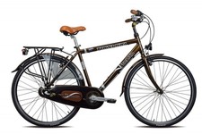 Bicicletta Torpado Storica