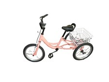 bicicletta per bambini da tre