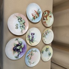 Set 8 1903 Hand-Painted Plates