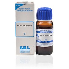 Sbl ficus religiosa - religiosa, (q)