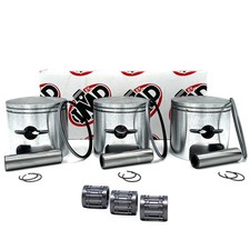 Kit pistoni (3) e cuscinetti