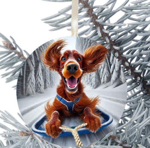 Red setter dog hanging - setter,