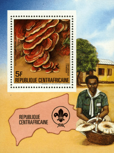 Repubblica centrafricana 1984 - centrafricana,
