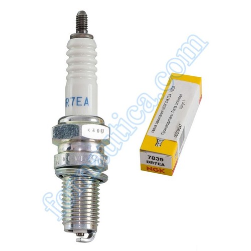 Candela ngk dr7ea per - candela,