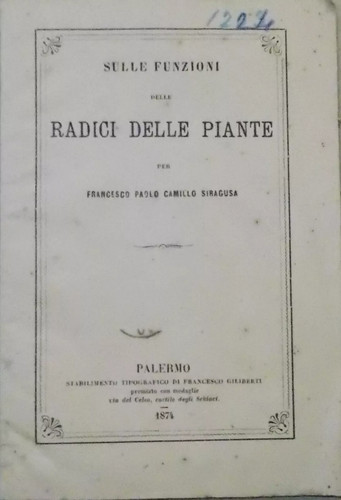 Storia - ,
