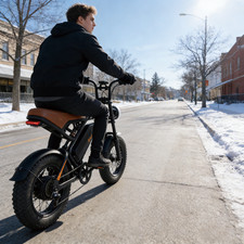 16'' Electric Bike Fatbike