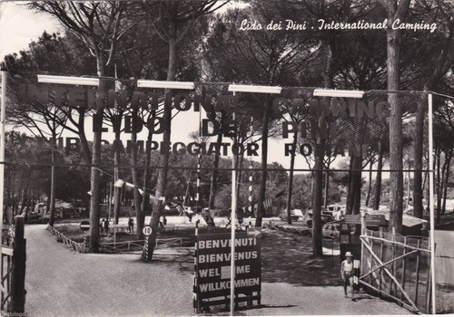 Lido dei pini international - #,